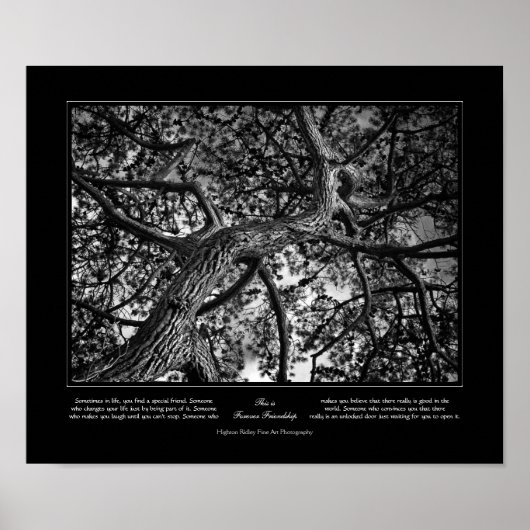 Forever vriendschap, Canadese pine, Fine Art Poster (Voorkant)