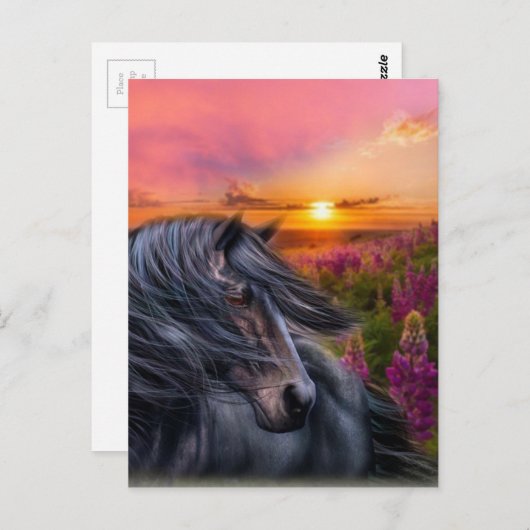 Forever Wild Black Horse Briefkaart (Voorkant / Achterkant)