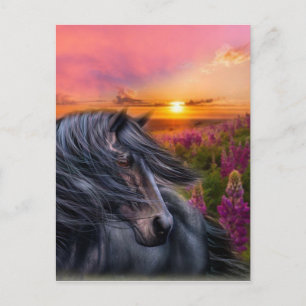 Forever Wild Black Horse Briefkaart