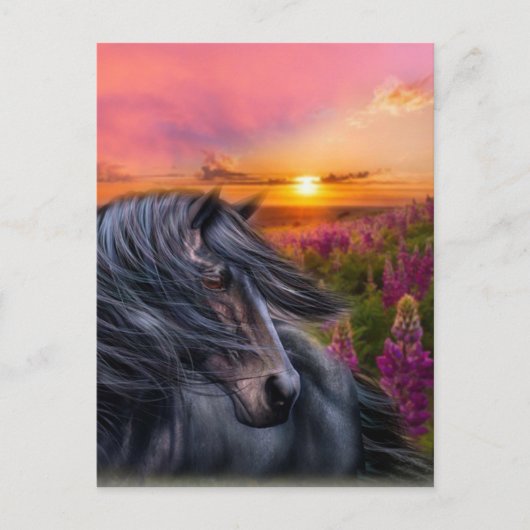 Forever Wild Black Horse Briefkaart (Voorkant)