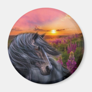 Forever Wild Black Horse Magneet