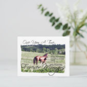 ForeverMorgan Fairytale Morgan Mare en Foal Briefkaart (Staand voorkant)