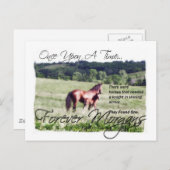ForeverMorgan Fairytale Morgan Mare en Foal Briefkaart (Voorkant / Achterkant)