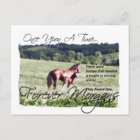 ForeverMorgan Fairytale Morgan Mare en Foal Briefkaart (Voorkant)