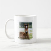 ForeverMorgan One Life at Time Foal Koffiemok (Links)