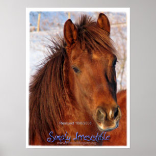 ForeverOrgels gewoon onweerstaanbaar paardenPoster Poster