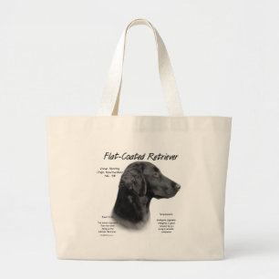 Forfaitaire historisch ontwerp van een platte laag grote tote bag