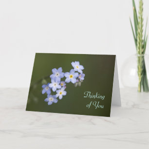 Forget-Me-Not, Denken aan je Kaart