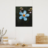 Forget Me Not Poster (Keuken)