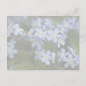 Forget-Me-Not · Sla het Date Briefkaart op (Achterkant)