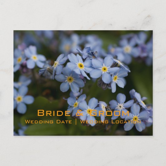 Forget-Me-Not · Sla het Date Briefkaart op (Voorkant)