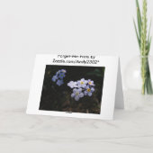 Forget Me Not ~ Sympathy Kaart (Achterkant)