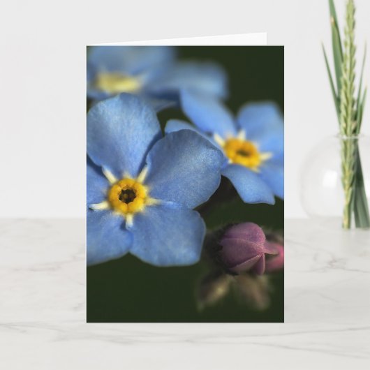 Forget-Me-Nots 3 Blank Wenskaart Kaart (Voorkant)