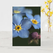Forget-Me-Nots 3 Blank Wenskaart Kaart (Gele Bloem)