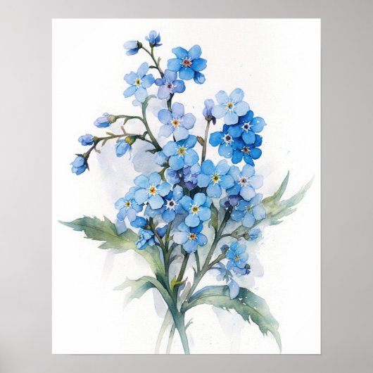 Forget Me Nots Flower Art Print Poster (Voorkant)