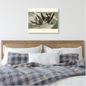 Fork-tail Petrel uit de Amerikaanse vogels van Aud Canvas Afdruk (Insitu (Slaapkamer))
