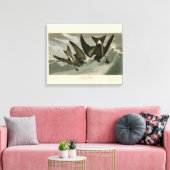 Fork-tail Petrel uit de Amerikaanse vogels van Aud Canvas Afdruk (Insitu (Woonkamer))