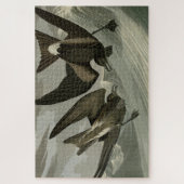 Fork-tail Petrel uit de Amerikaanse vogels van Aud Legpuzzel (Verticaal)