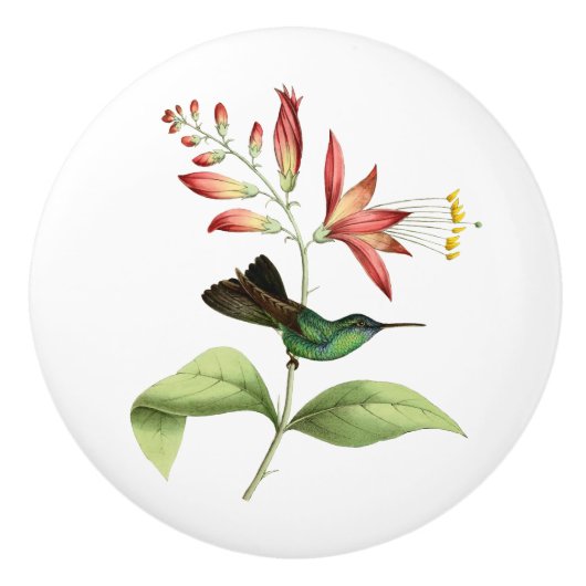 Fork Tailed Wood Nymph Hummingbird Keramische Knop (Voorkant)