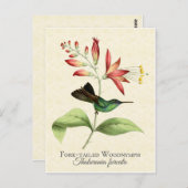 Fork Tailing Wood Nymph Hummingbird Art Briefkaart (Voorkant / Achterkant)