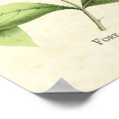 Fork Tailing Wood Nymph Hummingbird Art Print (Hoek)