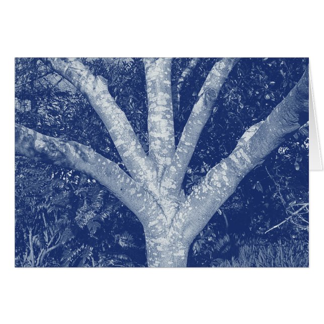Forked Branches - Cyanotype-effect (Voorkant Horizontaal)