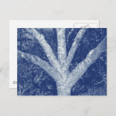 Forked Branches - Cyanotype-effect Briefkaart (Voorkant / Achterkant)