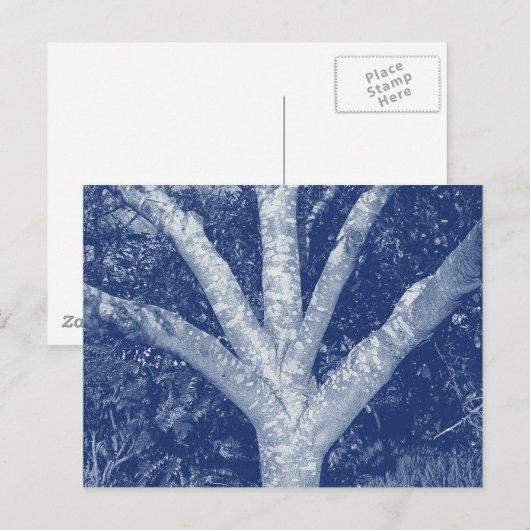 Forked Branches - Cyanotype-effect Briefkaart (Voorkant / Achterkant)