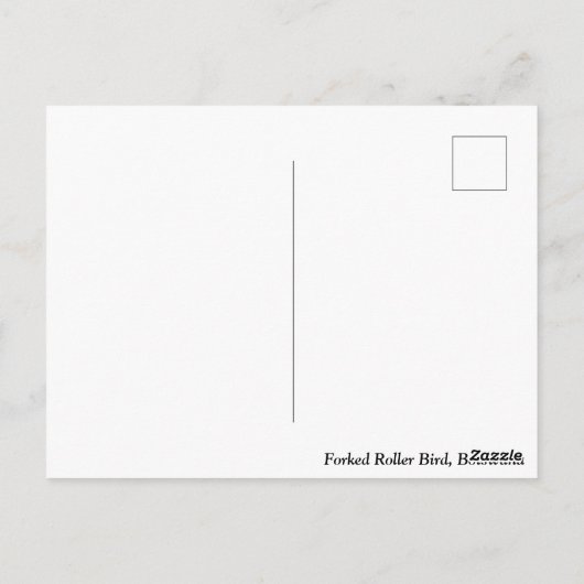 Forked Roller Bird Botswana Briefkaart (Achterkant)