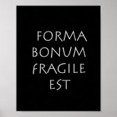 Forma bonum breekbaar poster (Voorkant)