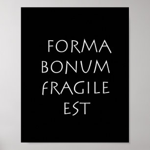Forma bonum breekbaar poster