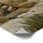 Formaties Joshua-structuur Poster (Hoek)