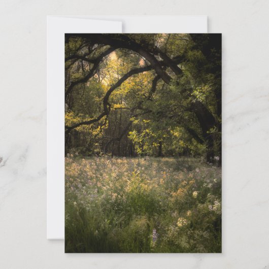 Formeel bijtende bosboomstam kaart (Achterkant)