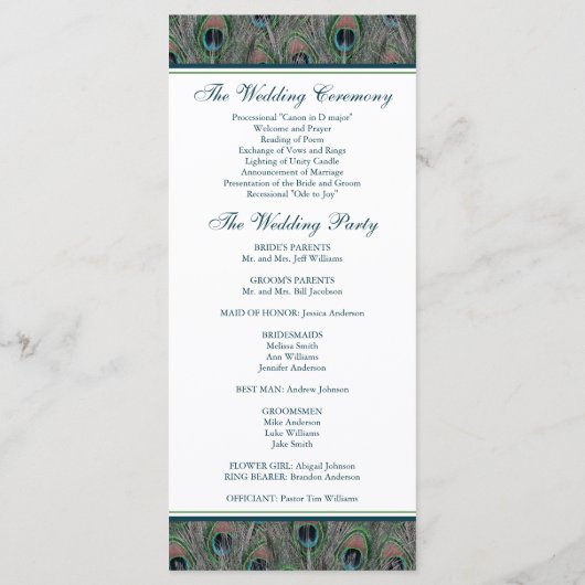 Formeel Peacock Feathers Wedding Programma Programmakaart (Achterkant)