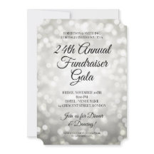 Formeel zakelijk fundraiserfeest Zilveren Lichten