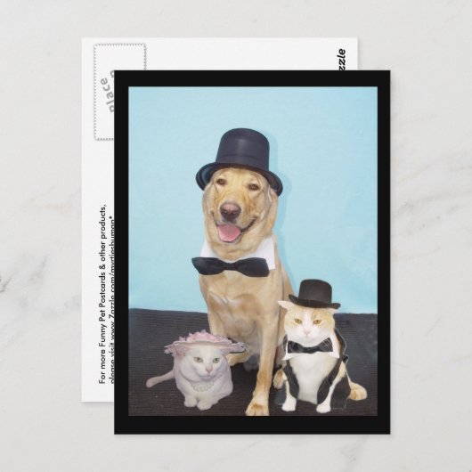 Formele Briefkaart (Voorkant / Achterkant)