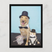 Formele Briefkaart (Voorkant)