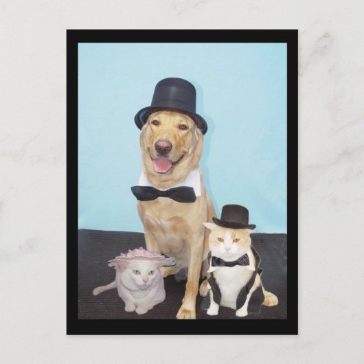 Formele Briefkaart (Voorkant)