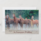 Formele en paardenweddenschappen kaart (Voorkant)