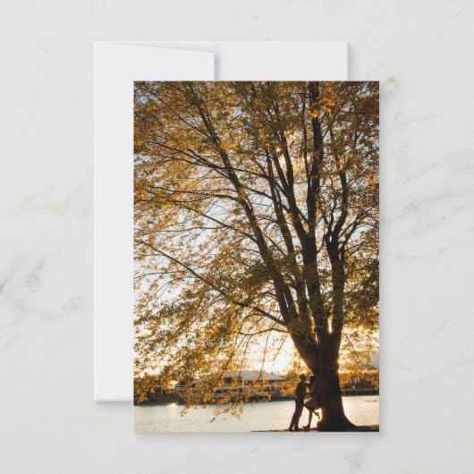 Formele kalligrafie Elegant multi-foto Save The Date (Achterkant)