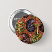 Formele paisles, formal Paisley Darlene P. Colt... Ronde Button 5,7 Cm (Voorkant /achterkant)