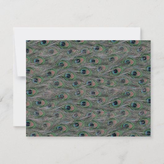 Formele Peacock Feathers RSVP-reactiekaart RSVP Kaartje (Achterkant)