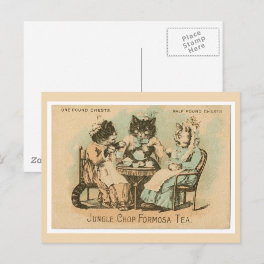 Formosa Tea Cats Briefkaart (Voorkant / Achterkant)