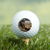 Formule Fun: Professioneel Meerkat autocoureur Golfballen (Insitu Shirt)