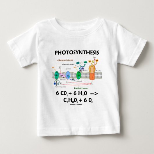 Formule voor fotosynthese (chemisch) (Voorkant)