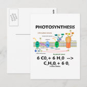 Formule voor fotosynthese (chemisch) briefkaart (Voorkant / Achterkant)