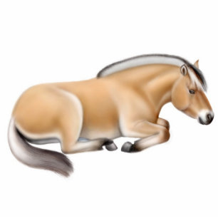 Fornament Fotobeeldje Ornament