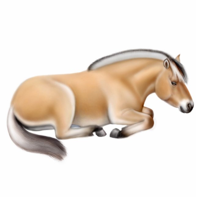 Fornament Fotobeeldje Ornament (Voorkant)