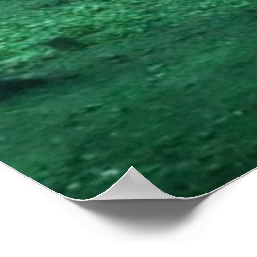 Forrest Dragon Poster (Hoek)