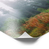 Forrest ochtend, Kodak Professional P Foto Afdruk (Hoek)